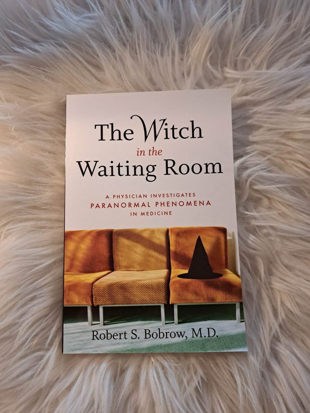 The Witch in the Waiting Room: A Physician Investigates Paranormal Phenomena in Medicine