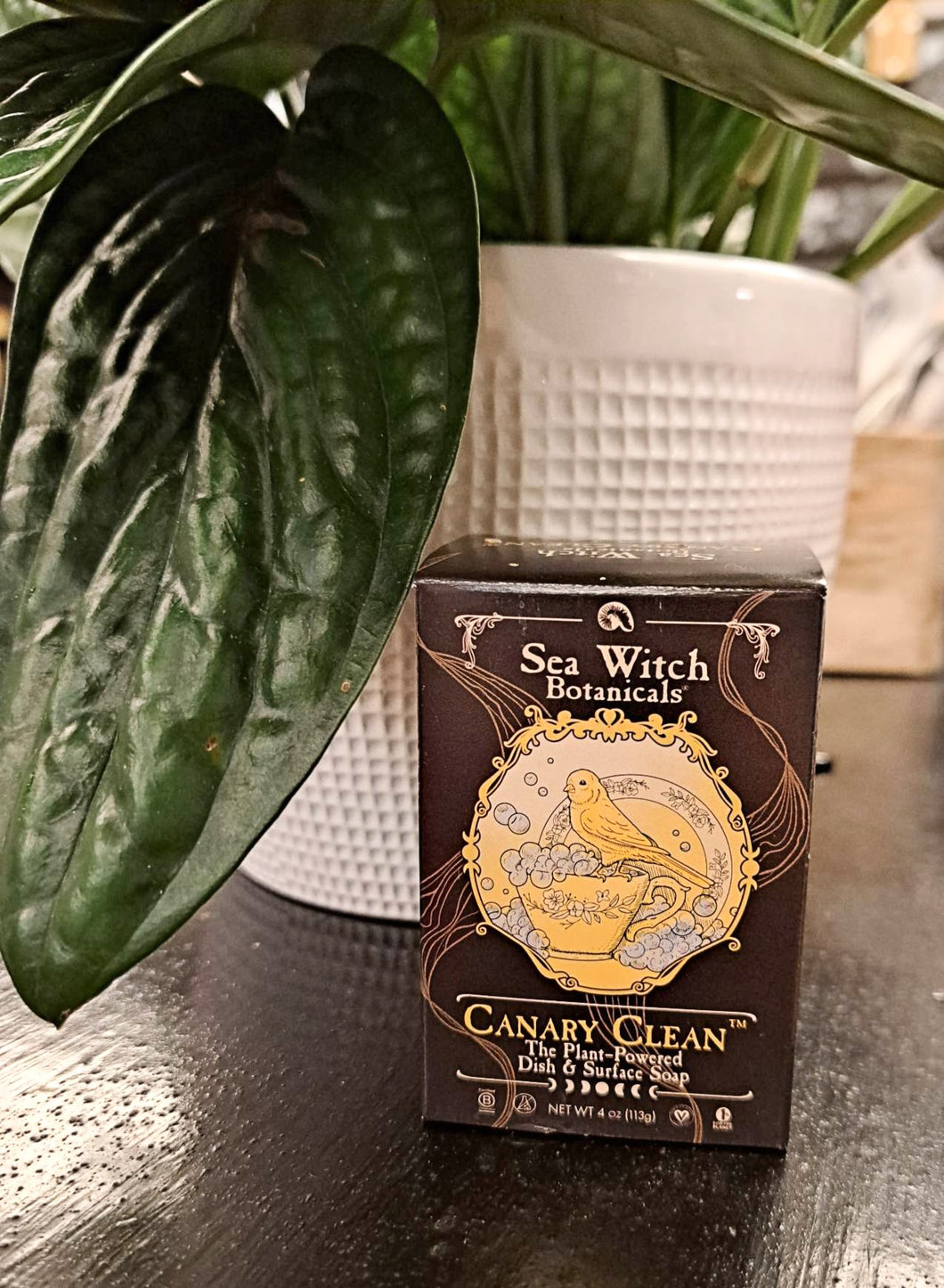Sea Witch Botanicals Canary Clean The Plant - Powered Dish and Surface Soap